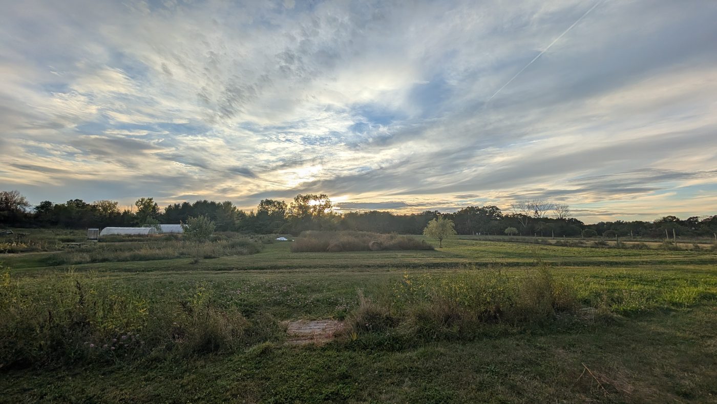 Dusk coming down over the back field under a broken sky.