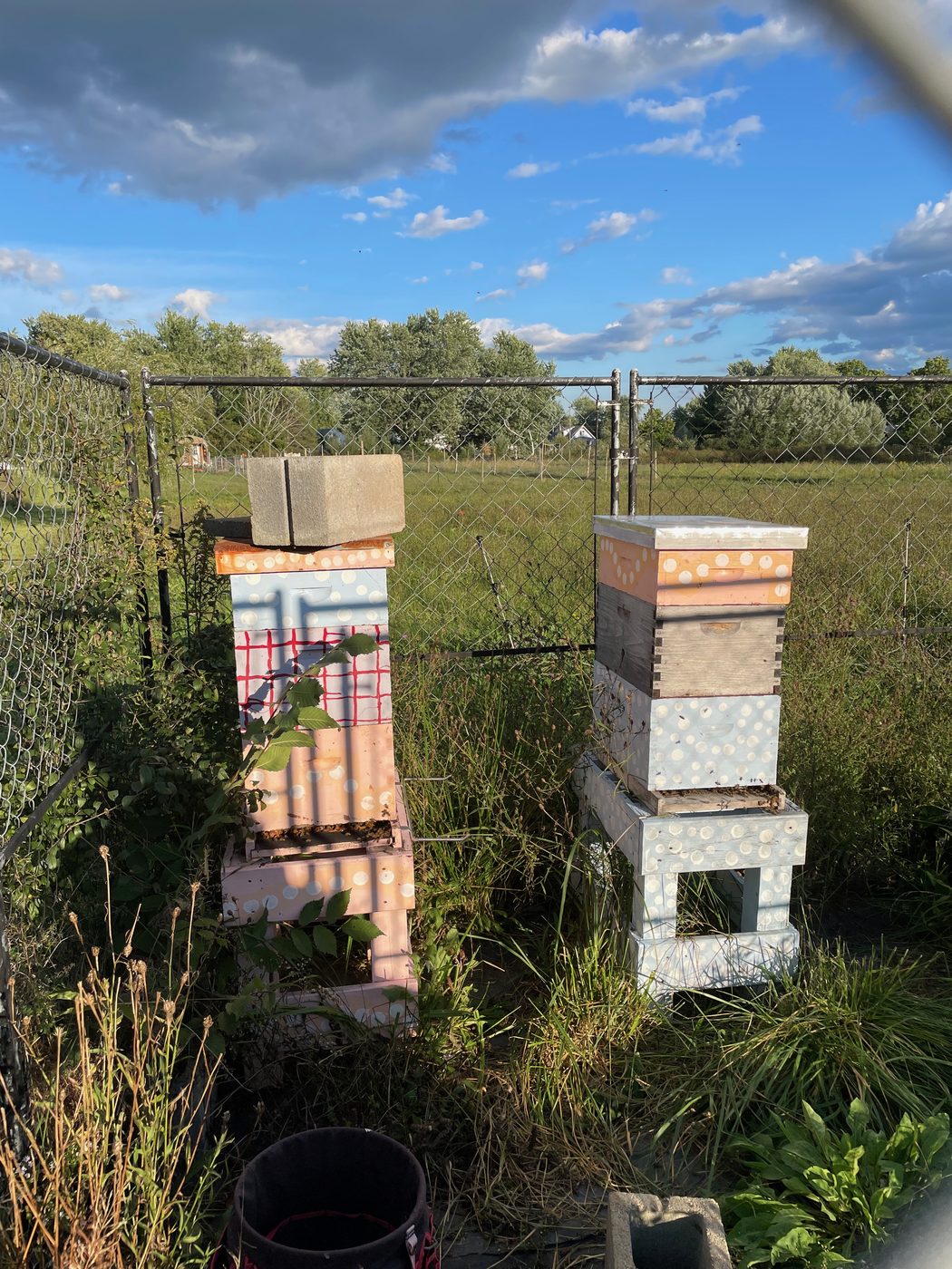 Two beehive stacks standing in the long grass at the field edge.