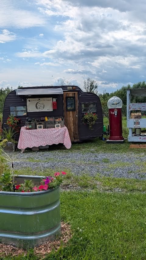 The Branna Hollow farm stand: a vintage camper with the farm's banner, a gingham-covered table of produce, and an antique gumball machine.