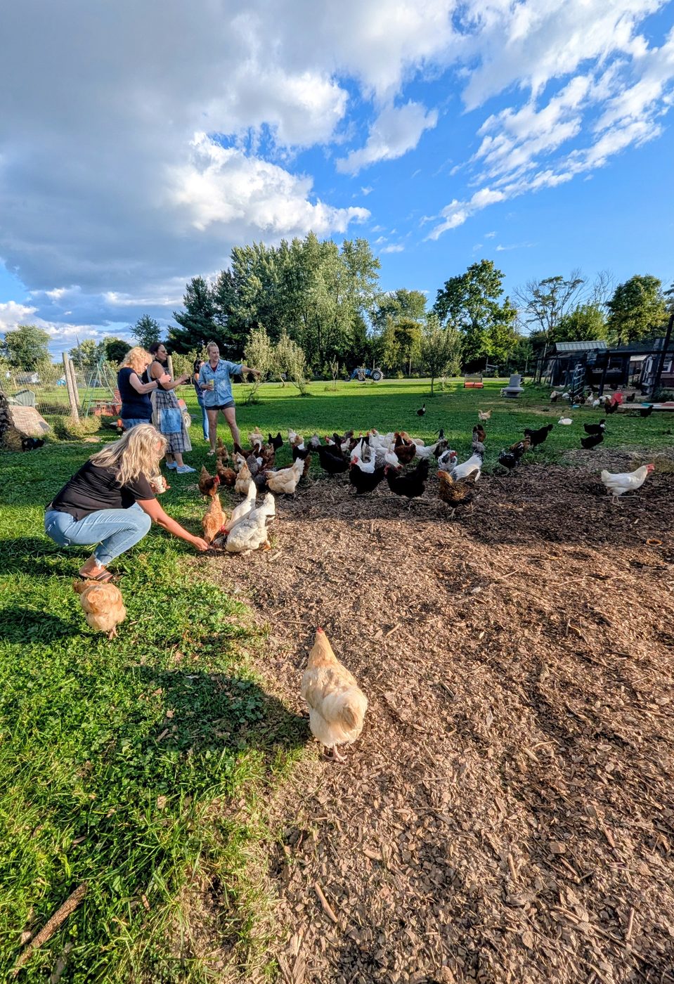 Visitors crouched in the grass feeding the hens.
